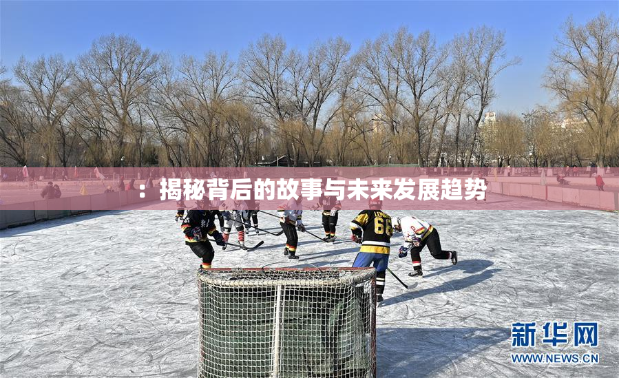 ：揭秘背后的故事与未来发展趋势