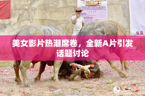 美女影片热潮席卷，全新A片引发话题讨论