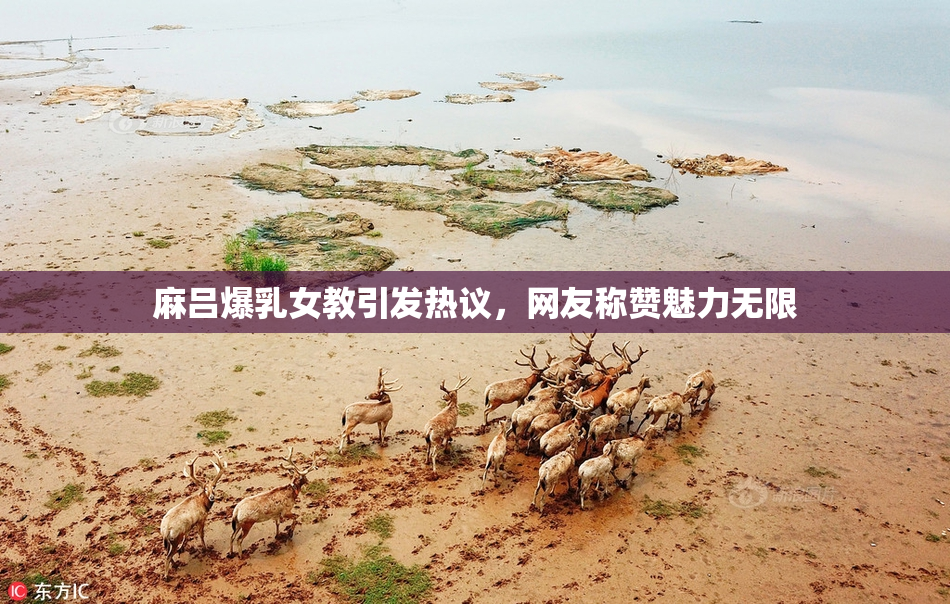 麻吕爆乳女教引发热议，网友称赞魅力无限
