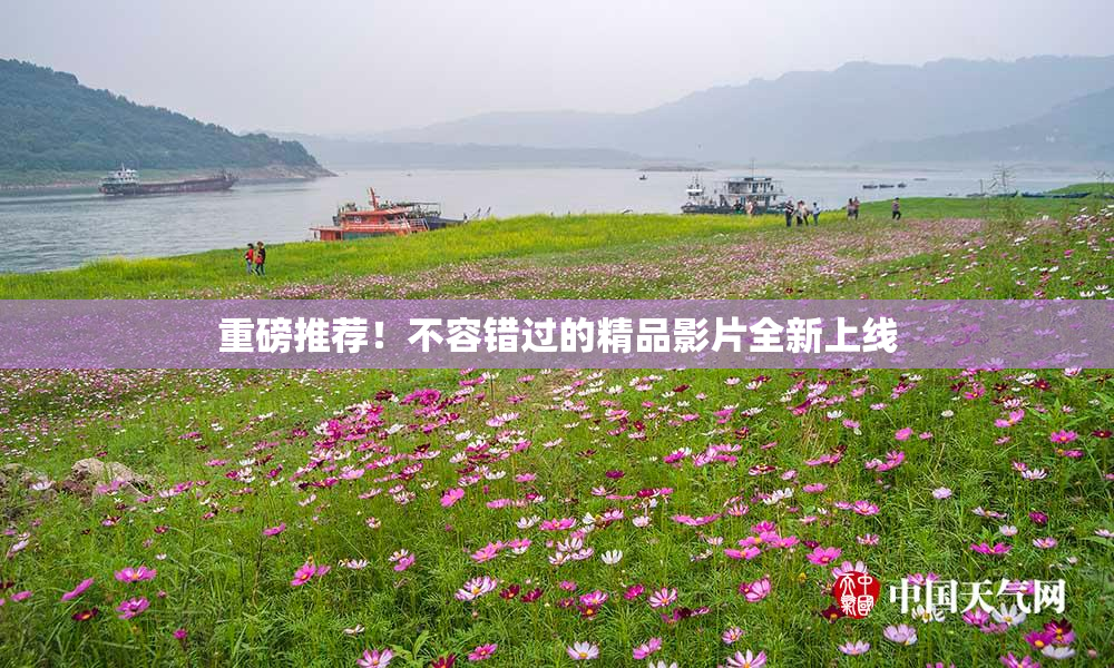重磅推荐！不容错过的精品影片全新上线