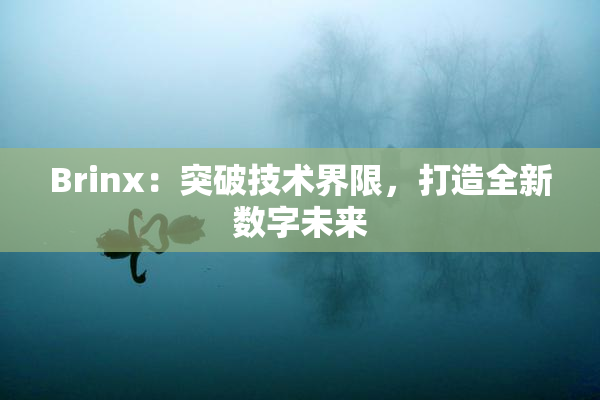 Brinx：突破技术界限，打造全新数字未来
