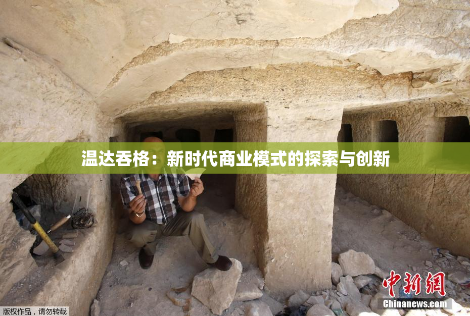温达吞格：新时代商业模式的探索与创新