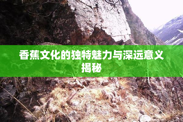 香蕉文化的独特魅力与深远意义揭秘