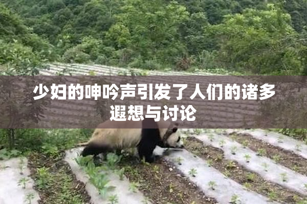 少妇的呻吟声引发了人们的诸多遐想与讨论