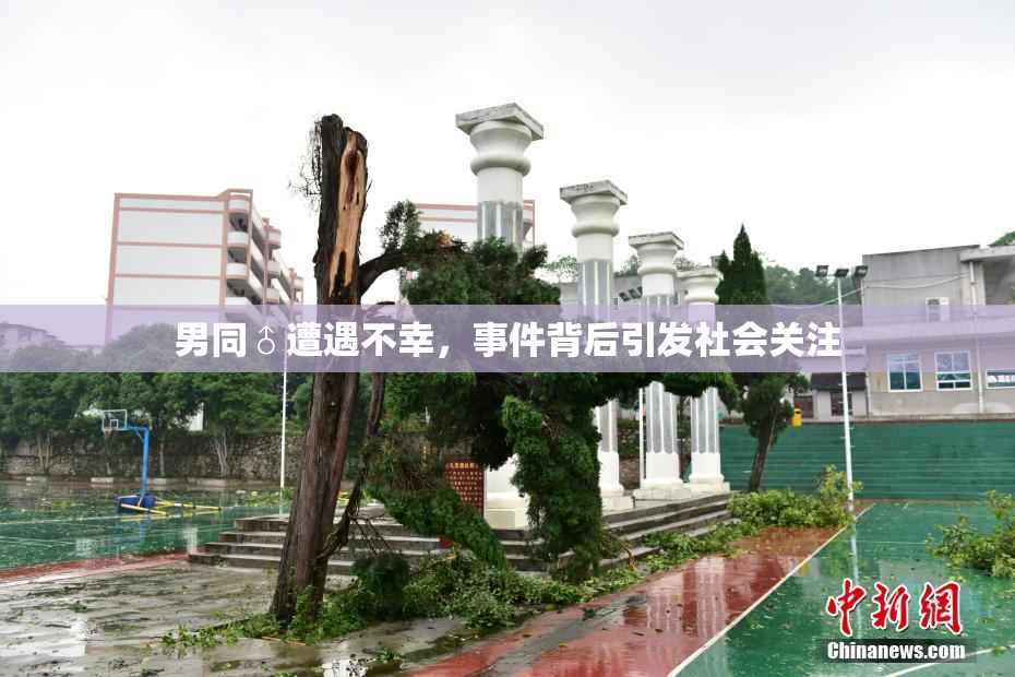男同♂遭遇不幸，事件背后引发社会关注