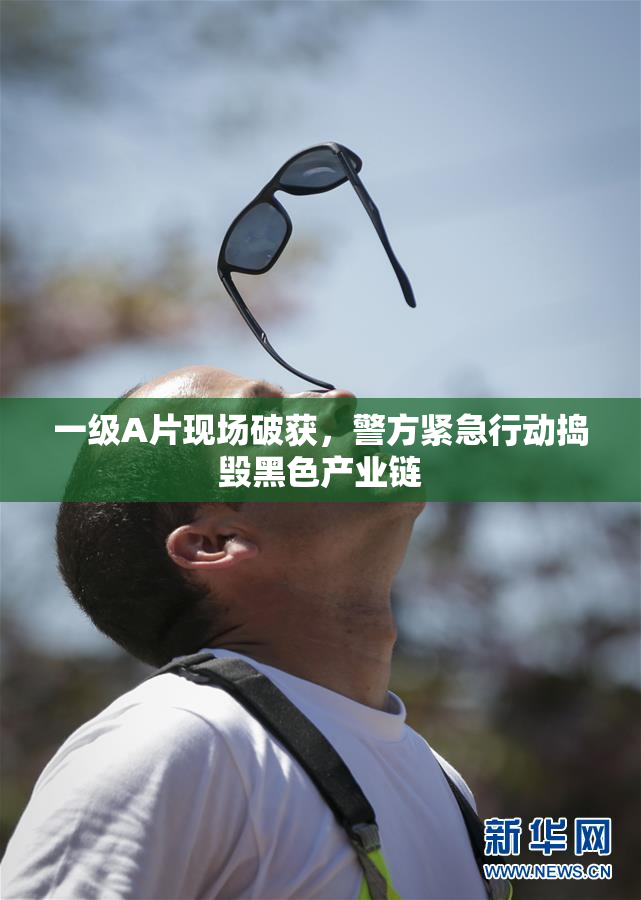 一级A片现场破获，警方紧急行动捣毁黑色产业链