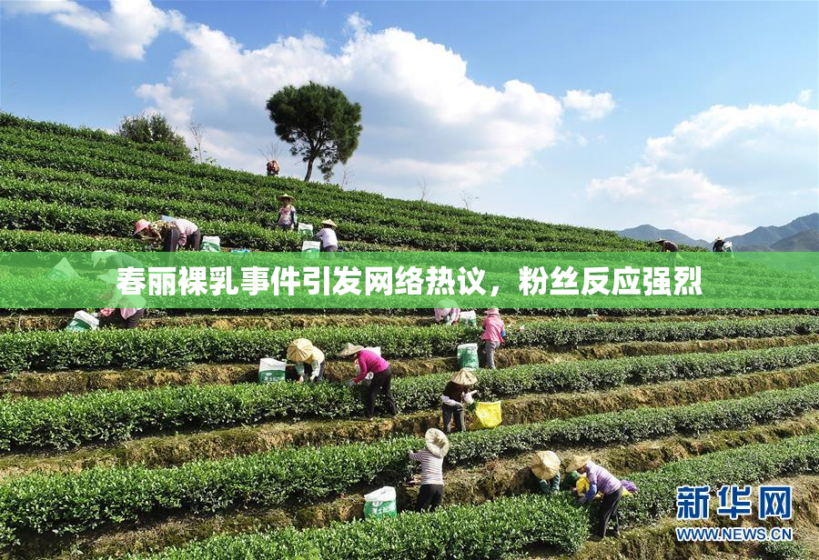 春丽裸乳事件引发网络热议，粉丝反应强烈