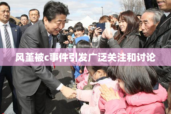 风堇被c事件引发广泛关注和讨论
