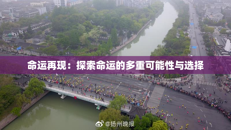 命运再现：探索命运的多重可能性与选择
