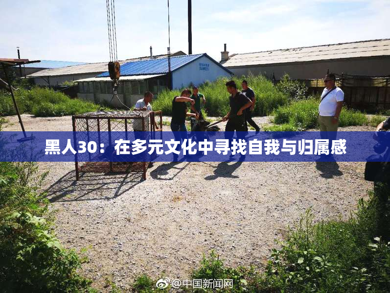 黑人30：在多元文化中寻找自我与归属感