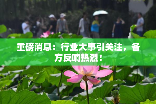重磅消息：行业大事引关注，各方反响热烈！