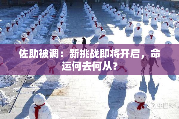 佐助被调：新挑战即将开启，命运何去何从？
