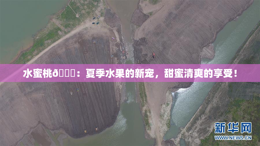 水蜜桃🍑：夏季水果的新宠，甜蜜清爽的享受！