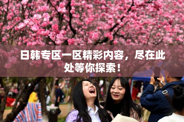 日韩专区一区精彩内容，尽在此处等你探索！