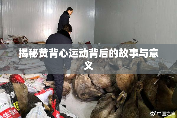 揭秘黄背心运动背后的故事与意义