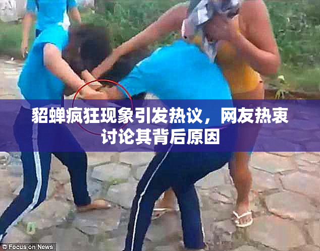 貂蝉疯狂现象引发热议，网友热衷讨论其背后原因