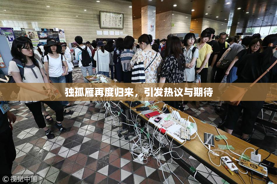 独孤雁再度归来，引发热议与期待