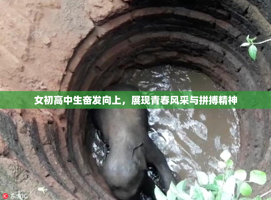 女初高中生奋发向上，展现青春风采与拼搏精神