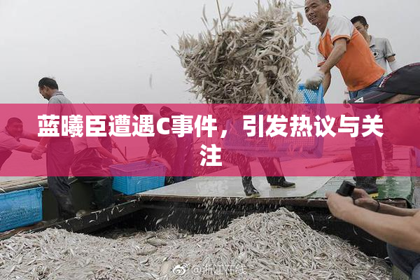 蓝曦臣遭遇C事件，引发热议与关注