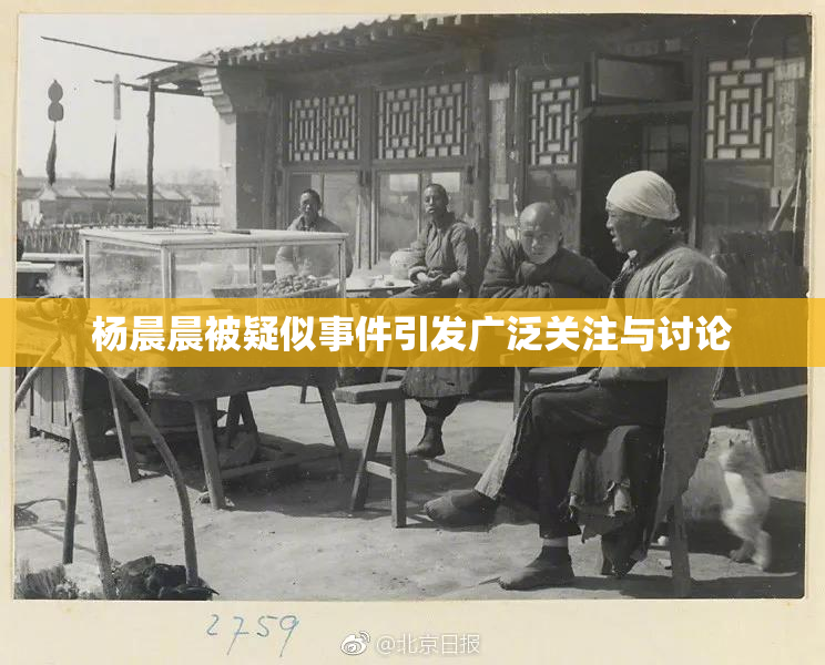 杨晨晨被疑似事件引发广泛关注与讨论