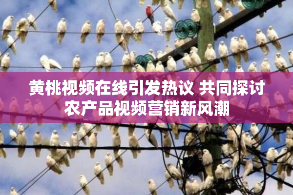 黄桃视频在线引发热议 共同探讨农产品视频营销新风潮