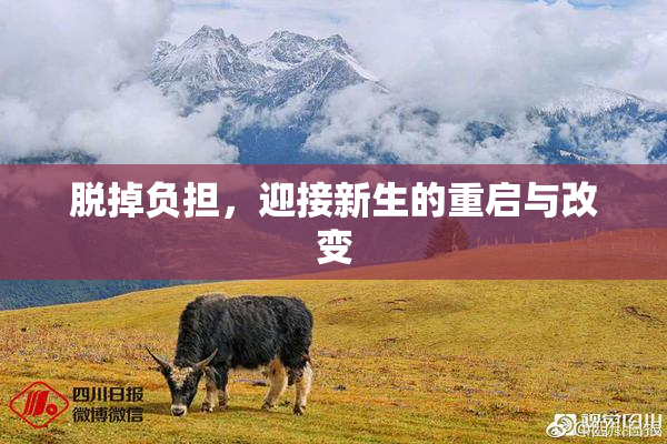 脱掉负担，迎接新生的重启与改变