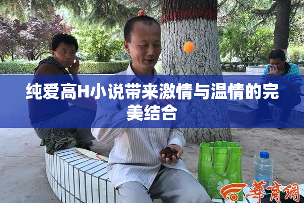 纯爱高H小说带来激情与温情的完美结合