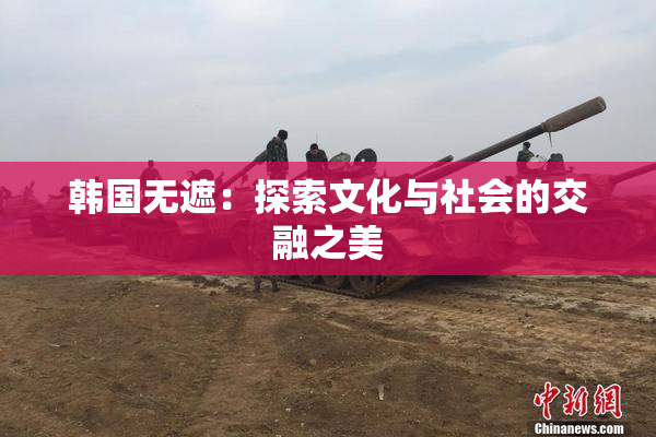 韩国无遮：探索文化与社会的交融之美