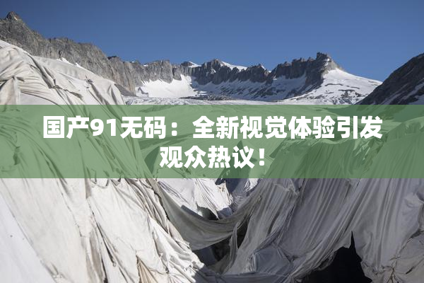 国产91无码：全新视觉体验引发观众热议！