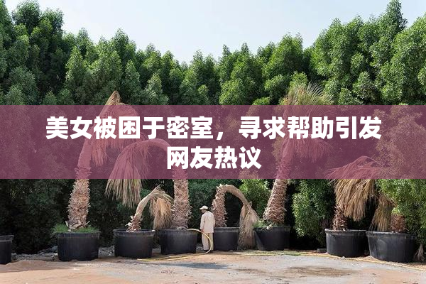 美女被困于密室，寻求帮助引发网友热议