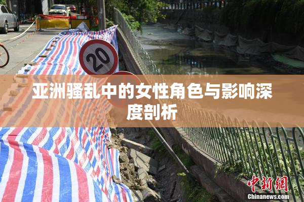 亚洲骚乱中的女性角色与影响深度剖析
