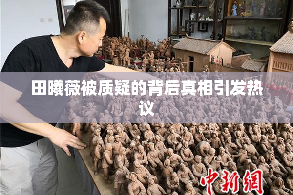 田曦薇被质疑的背后真相引发热议