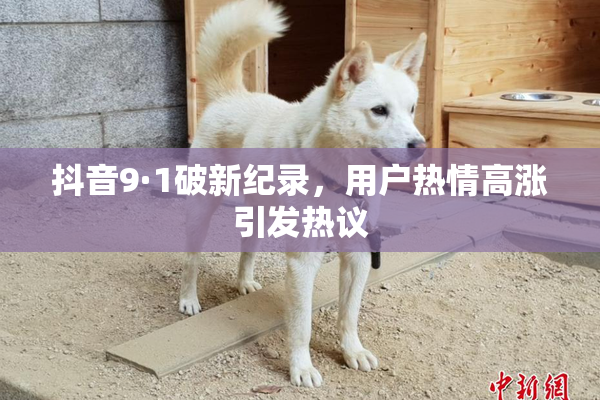 抖音9·1破新纪录，用户热情高涨引发热议