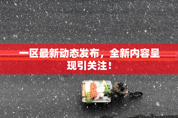 一区最新动态发布，全新内容呈现引关注！