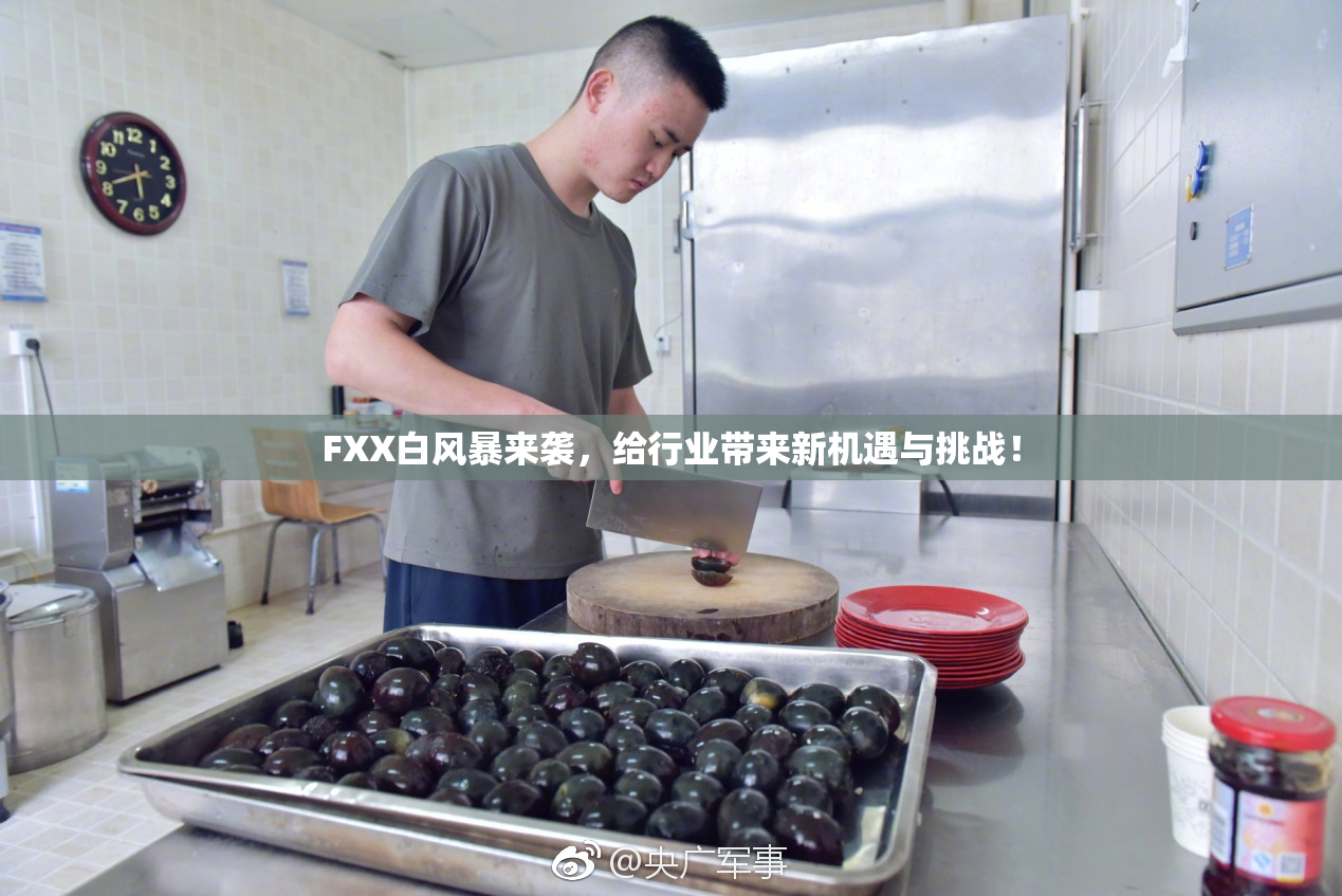 FXX白风暴来袭，给行业带来新机遇与挑战！