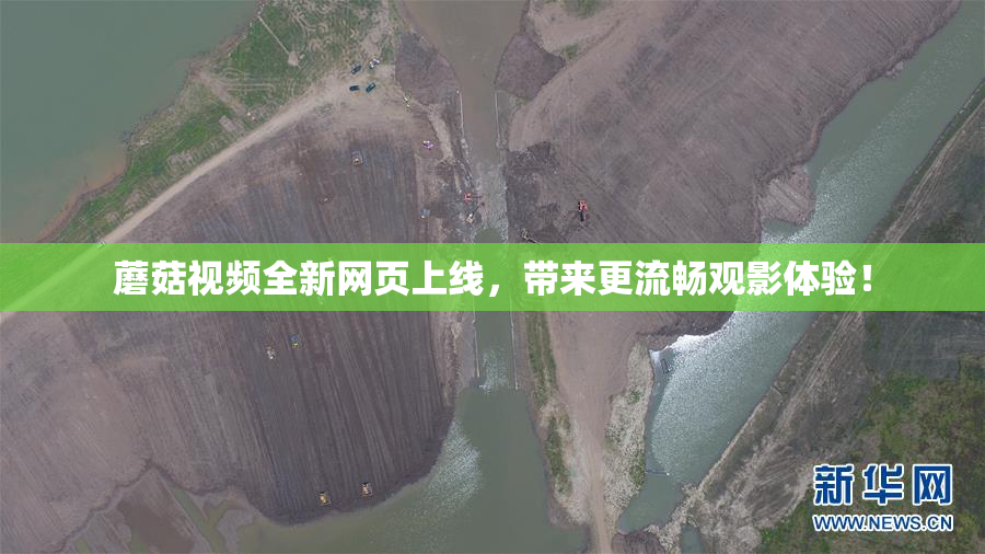 蘑菇视频全新网页上线，带来更流畅观影体验！