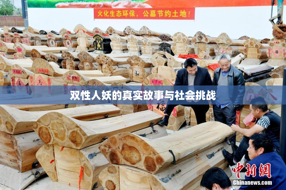 双性人妖的真实故事与社会挑战