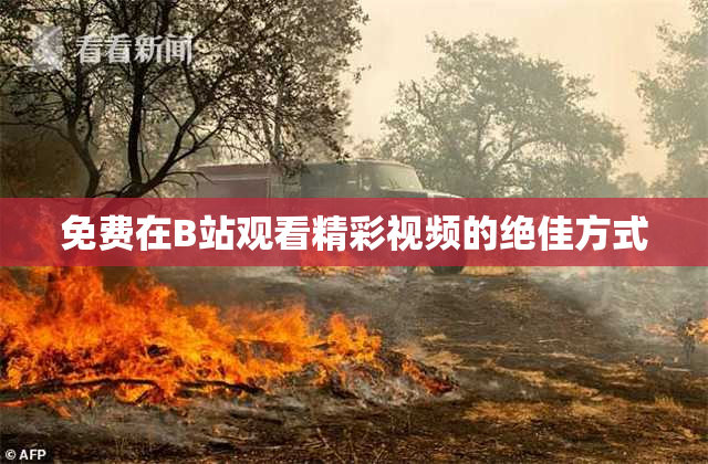 免费在B站观看精彩视频的绝佳方式