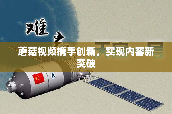 蘑菇视频携手创新，实现内容新突破