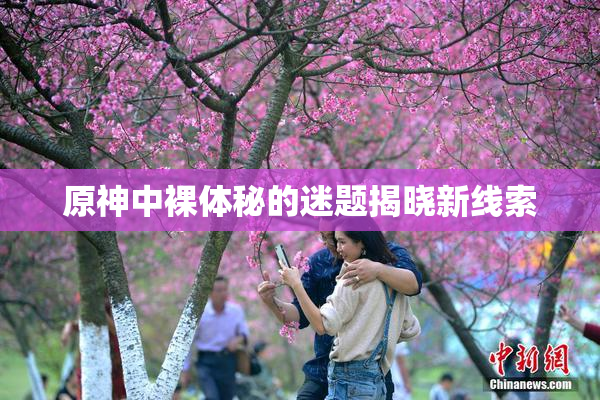 原神中裸体秘的迷题揭晓新线索