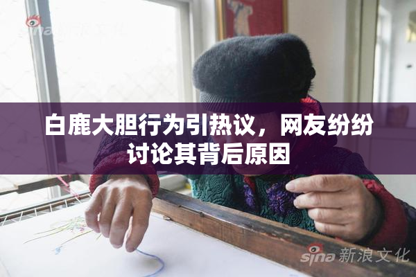 白鹿大胆行为引热议，网友纷纷讨论其背后原因