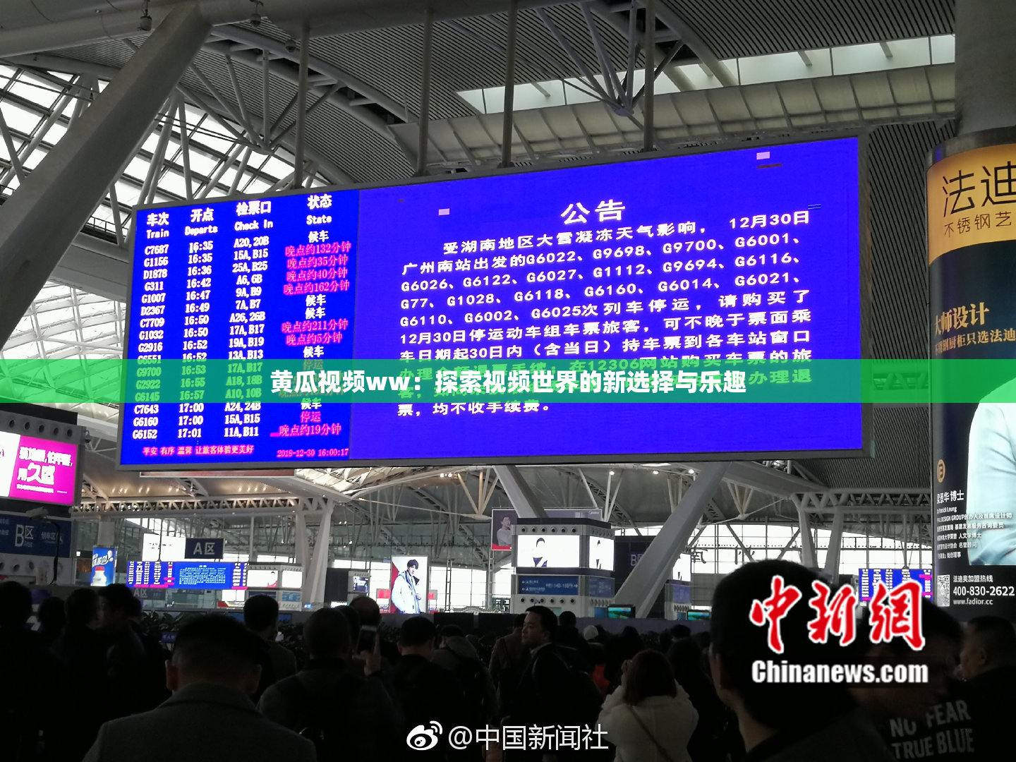 黄瓜视频ww：探索视频世界的新选择与乐趣