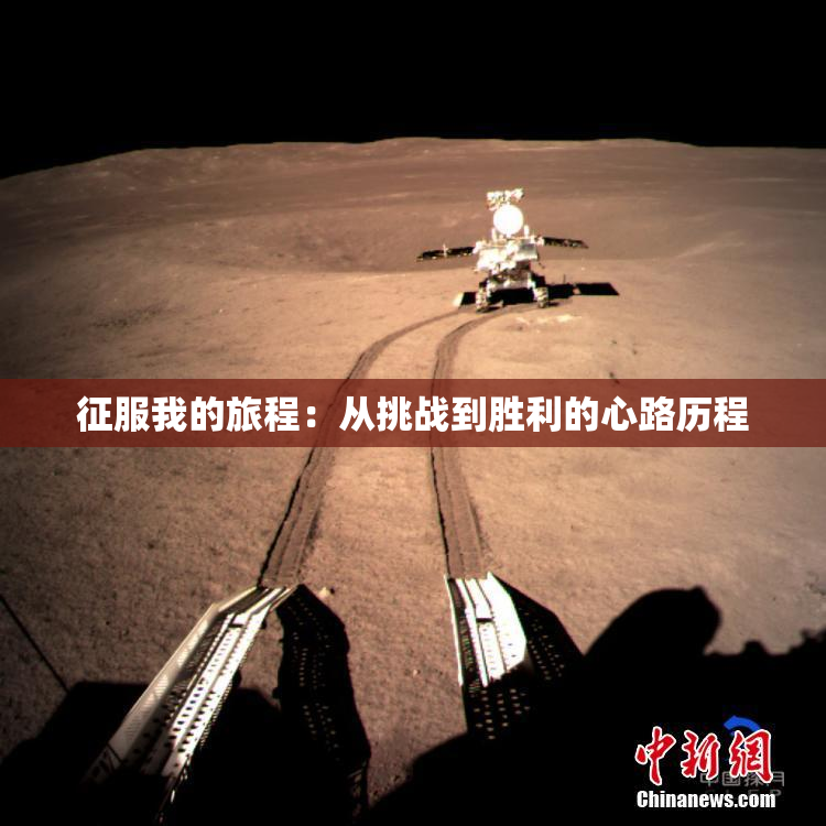 征服我的旅程：从挑战到胜利的心路历程