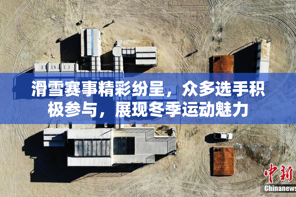 滑雪赛事精彩纷呈，众多选手积极参与，展现冬季运动魅力