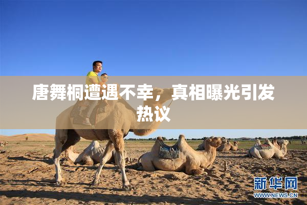 唐舞桐遭遇不幸，真相曝光引发热议