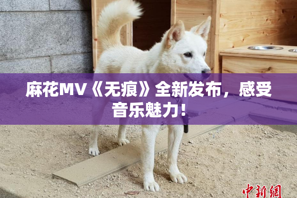 麻花MV《无痕》全新发布，感受音乐魅力！