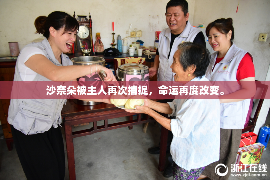 沙奈朵被主人再次捕捉，命运再度改变。