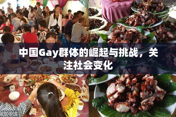 中国Gay群体的崛起与挑战，关注社会变化