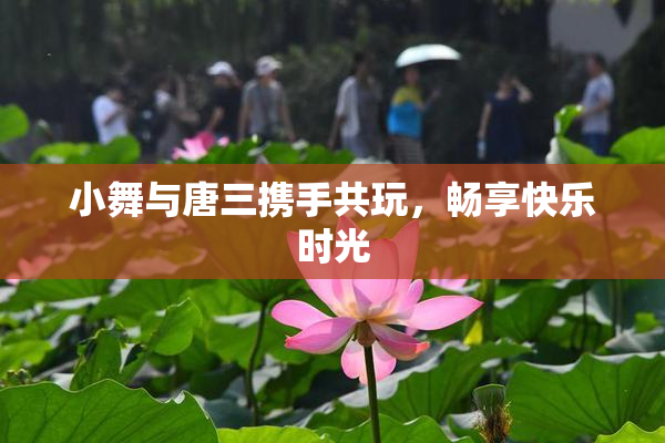 小舞与唐三携手共玩，畅享快乐时光