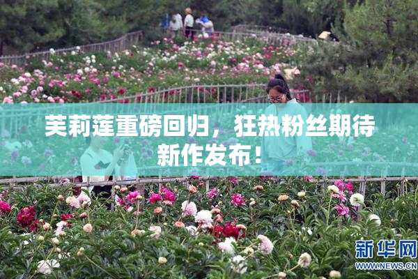 芙莉莲重磅回归，狂热粉丝期待新作发布！
